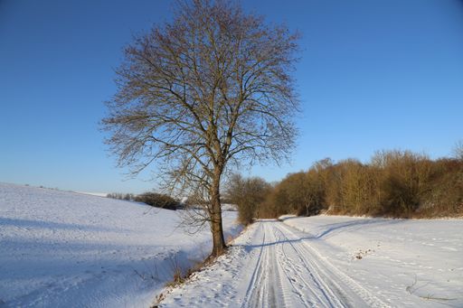 A closeup shot of a landscape covered in snow at daytime