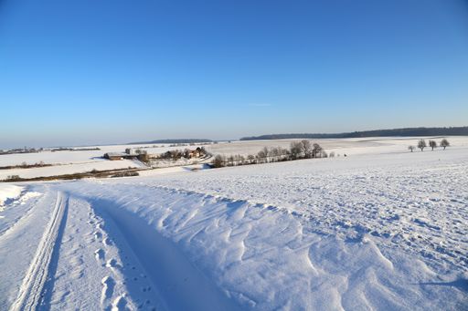 A closeup shot of a landscape covered in snow at daytime