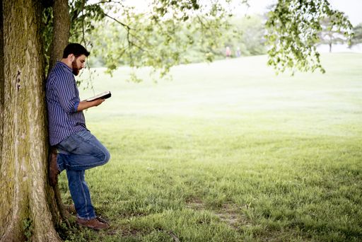 A male leaned against a tree while reading the bible with a blurred background