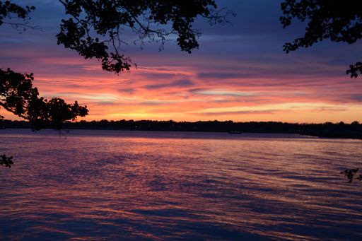 A scenic view of a lake against a shore covered with trees at a beautiful sunset