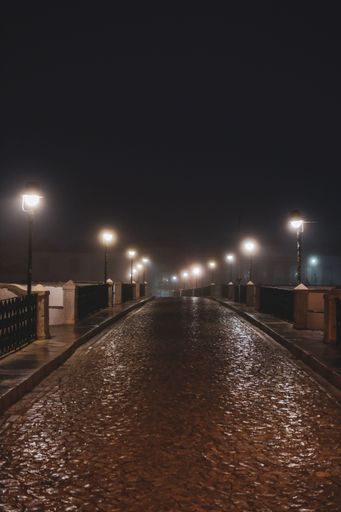 A vertical shot of the empty wet road illuminated by street lamps at night.