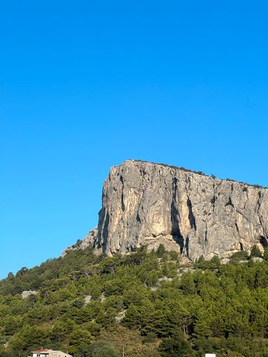 A vertical shot of a giant cliff with fir tree forest on a sunny day
