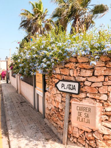 A vertical shot of the directional sign: Beach with palm trees in the background