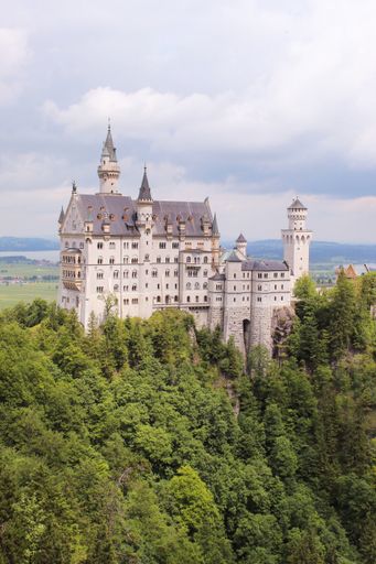 A vertical shot of the Neuschwanstein Castle in the green forest