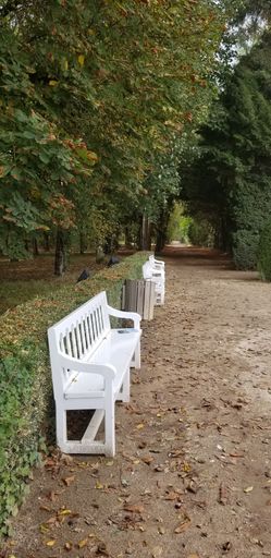A vertical shot of empty white benches in the park with green vegetation.