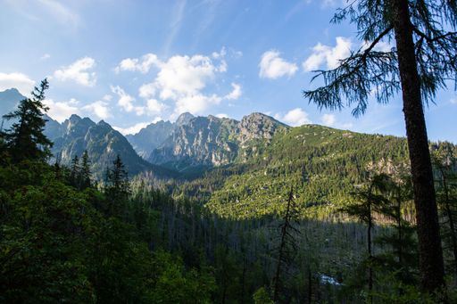 An aerial view of High Tatras mountain landscape surrounded by dense trees