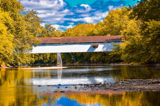 A closeup shot of a bridge over a pond surrounded by bright yellow trees in a park in autumn