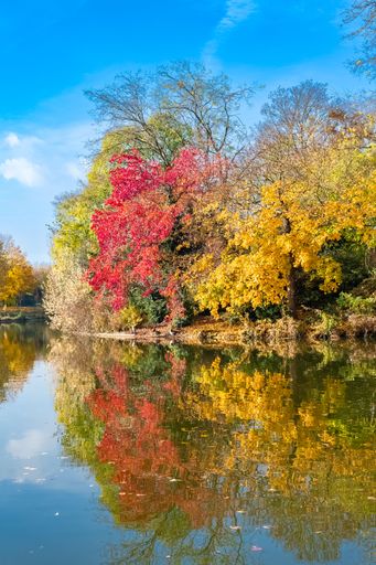 The Vincennes lake, with reflection of the trees in autumn