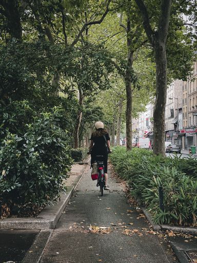 A vertical shot of a woman riding a bicycle through an alley with green trees