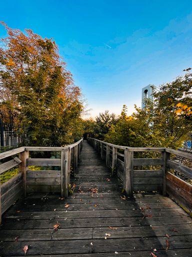 A vertical shot of a wooden bridge in the park in autumn