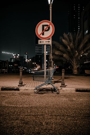 A vertical shot of a street with a shopping cart and no parking sign at night