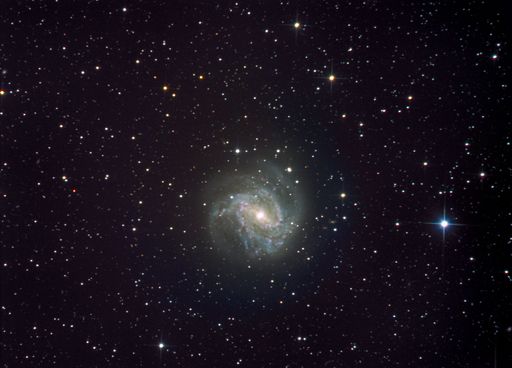 The pinwheel galaxy in the sky at night
