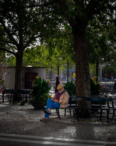 A vertical view of a mature man sitting on the bench under the tree, looking at his phone