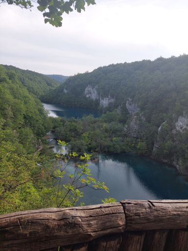 An aerial view of a lake in Plitvice Lakes National Park with lush vegetation and log in the foreground