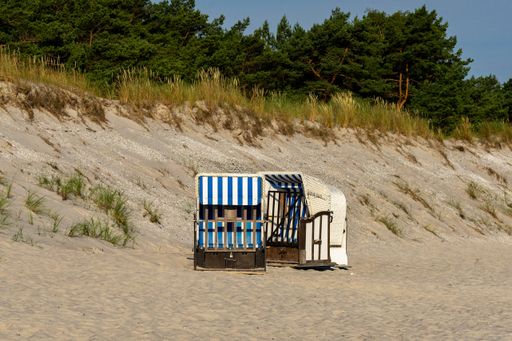 Two folding chairs on the beach surrounded by greenery under the sunlight