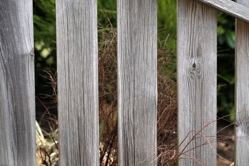A closeup shot of the planks of a wooden fence