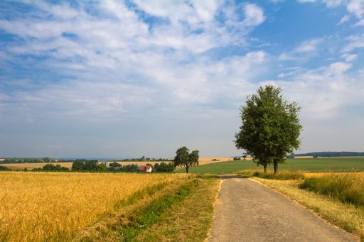 A closeup shot of a country rural road near fields