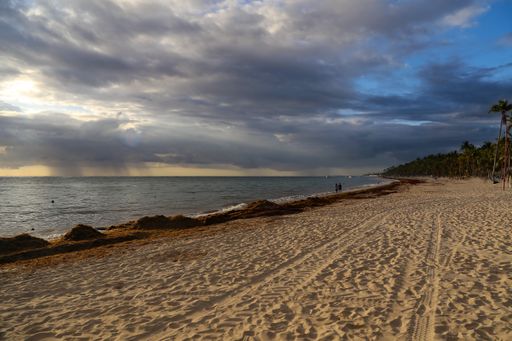 A beach surrounded by greenery and sea under a cloudy sky in the evening