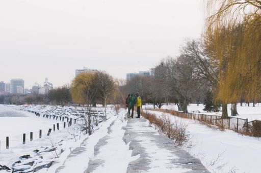 A beautiful shot of young boys in colorful coats walking in the snowy sidewalk in a park
