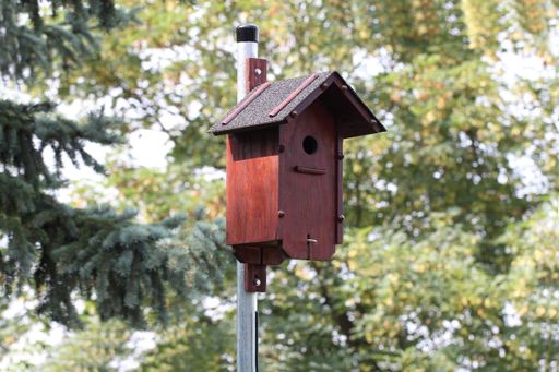 A shallow focus of a little wooden bird box in a homeyard on a blurred background