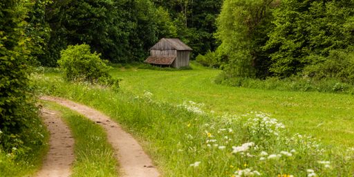 Wooden building on farmland in the forest. In the foreground is a forest road leading away.