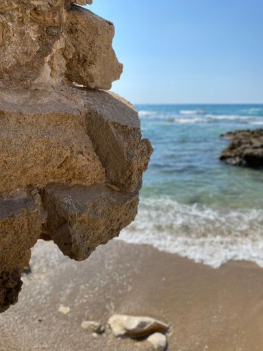 A vertical shot of a seashore