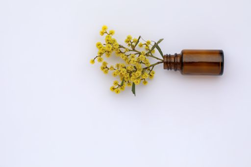 Beautiful yellow mimosa flowers coming out of a bottle on a white surface