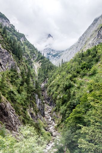 A beautiful landscape of rocky mountains and green forests on a sunny day