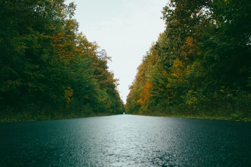 A straight asphalt road in a dense forest