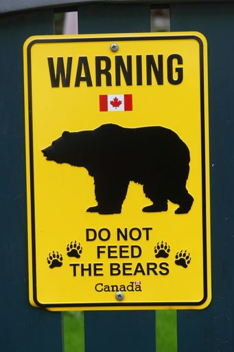 A yellow sign warning about not feeding bears