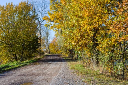 A beautiful view of an open road surrounded by autumn trees during daytime