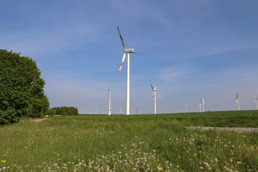 A field covered in greenery surrounded by windmills under the sunlight and a blue sky in Germany
