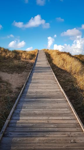 A vertical shot of a wooden path between dry grass on a sunny day
