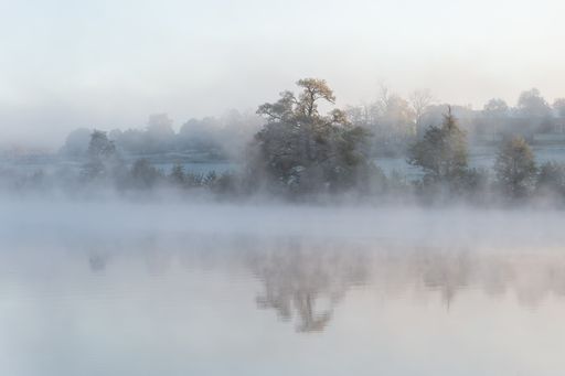 Misty morning at sunrise, the fog swirls around the autumn landscape. The mist, sunshine and trees create a dreamy scene. Background with copy space.