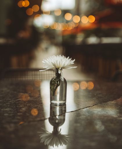 A vertical closeup shot of white flowers in a small transparent bottle filled with water