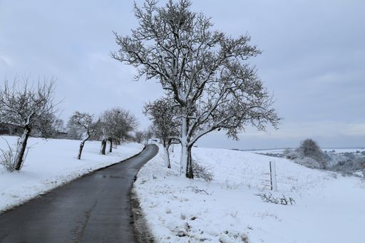 A road surrounded by trees covered in the snow under a cloudy sky in winter