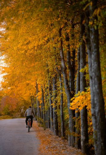 A vertical shot of a male riding bicycle in the autumn park