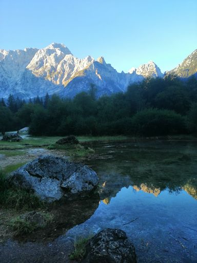 A beautiful view of a lake covered in seaweed with white alps in the distance