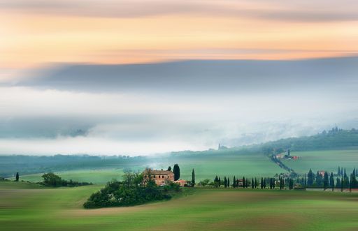 beautiful mood with fog in the Val d'Orcia