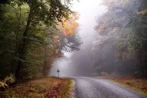 A road in the natural park of Morvan