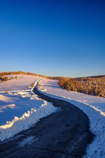 A road in Divcibare mountain during winter on a sunny day in Serbia