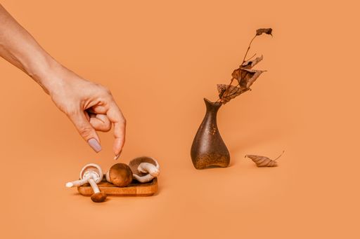 A woman's hand taking mushrooms plate with a vase and dry flowers on the empty orange background