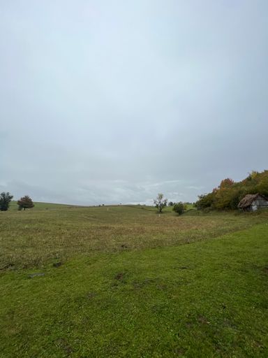A vertical shot of rural wooden cottages in a large green field in Sjenica, Serbia in Mist