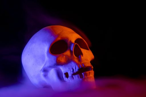 A closeup of a human skull with some teeth missing in a dark room full of mist under colorful lights