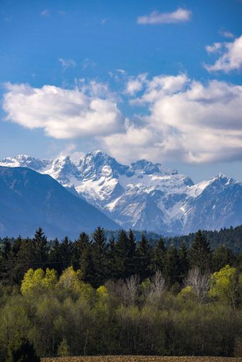 A beautiful landscape of the Denali national park with snowy mountains on the background