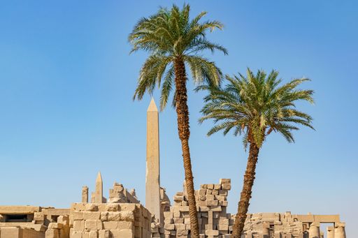 The tall green palm trees in front of Karnak temple on blue sky background in Luxor, Egypt