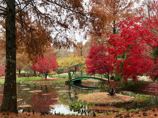A beautiful view of the Monet bridge in Gibbs Gardens in autumn, Cherokee County, Georgia.