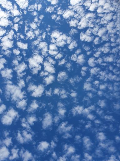A low angle shot of a blue cloudy sky at daytime - great for wallpapers and backgrounds