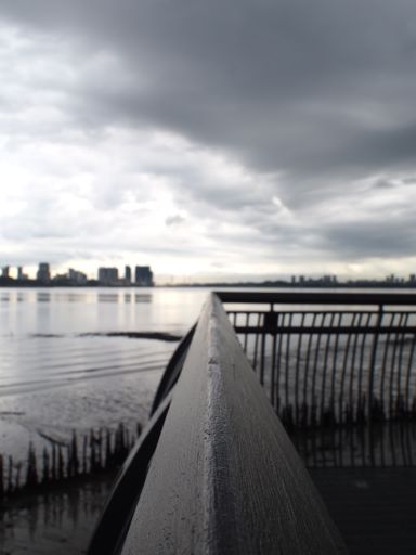 A vertical shot of fence with sea view in Sungei Buloh Wetland Reserve, Singapore