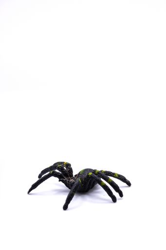 A closeup of an artificial spider on a white background